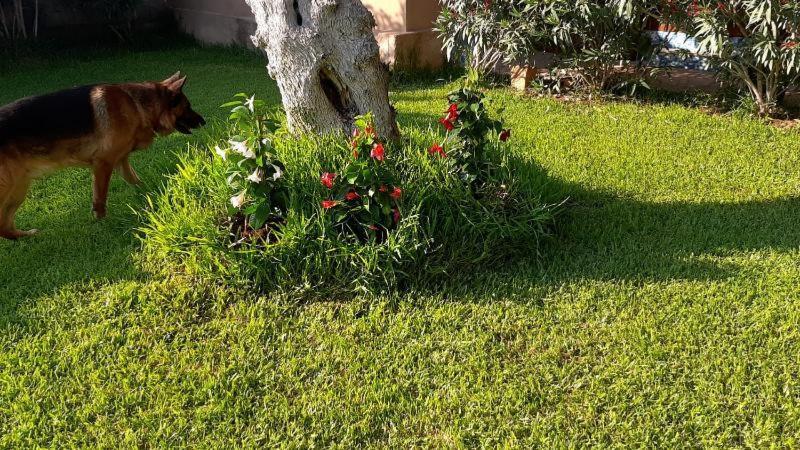 Villa Girasole Monteroni di Lecce Zewnętrze zdjęcie